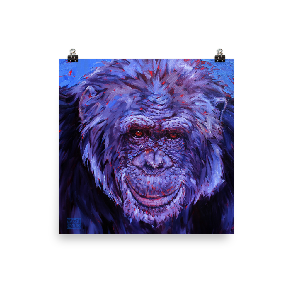 Art Print - Hugo by Carrie Cook