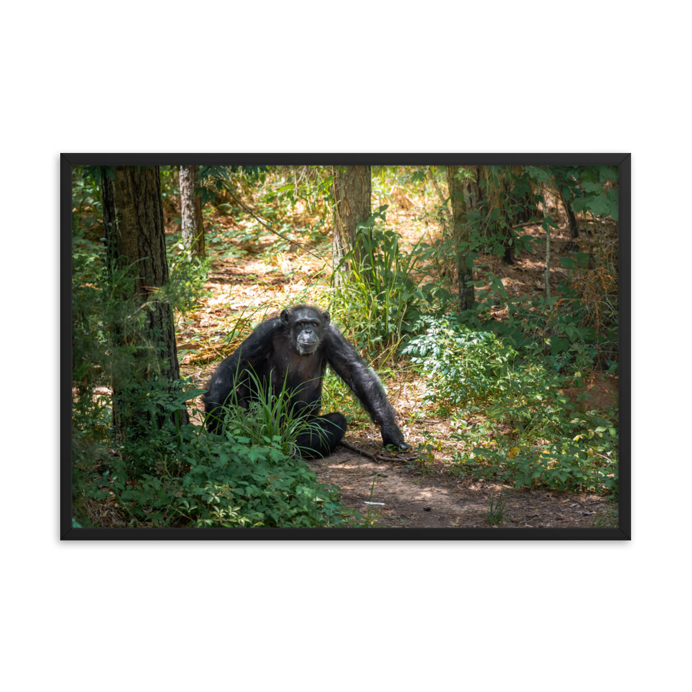 Framed photo paper poster- Margaret