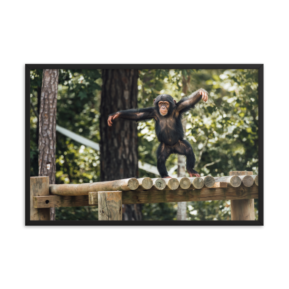 Framed photo paper poster- Carlee
