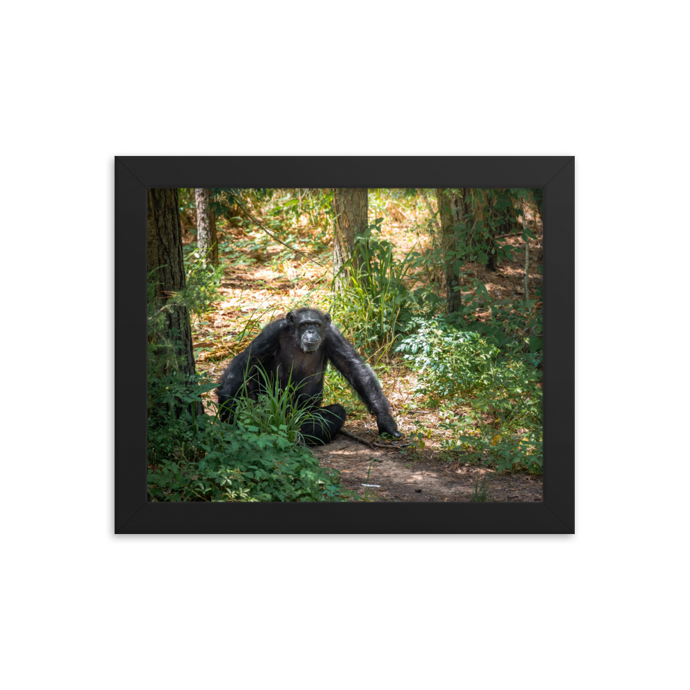 Framed photo paper poster- Margaret