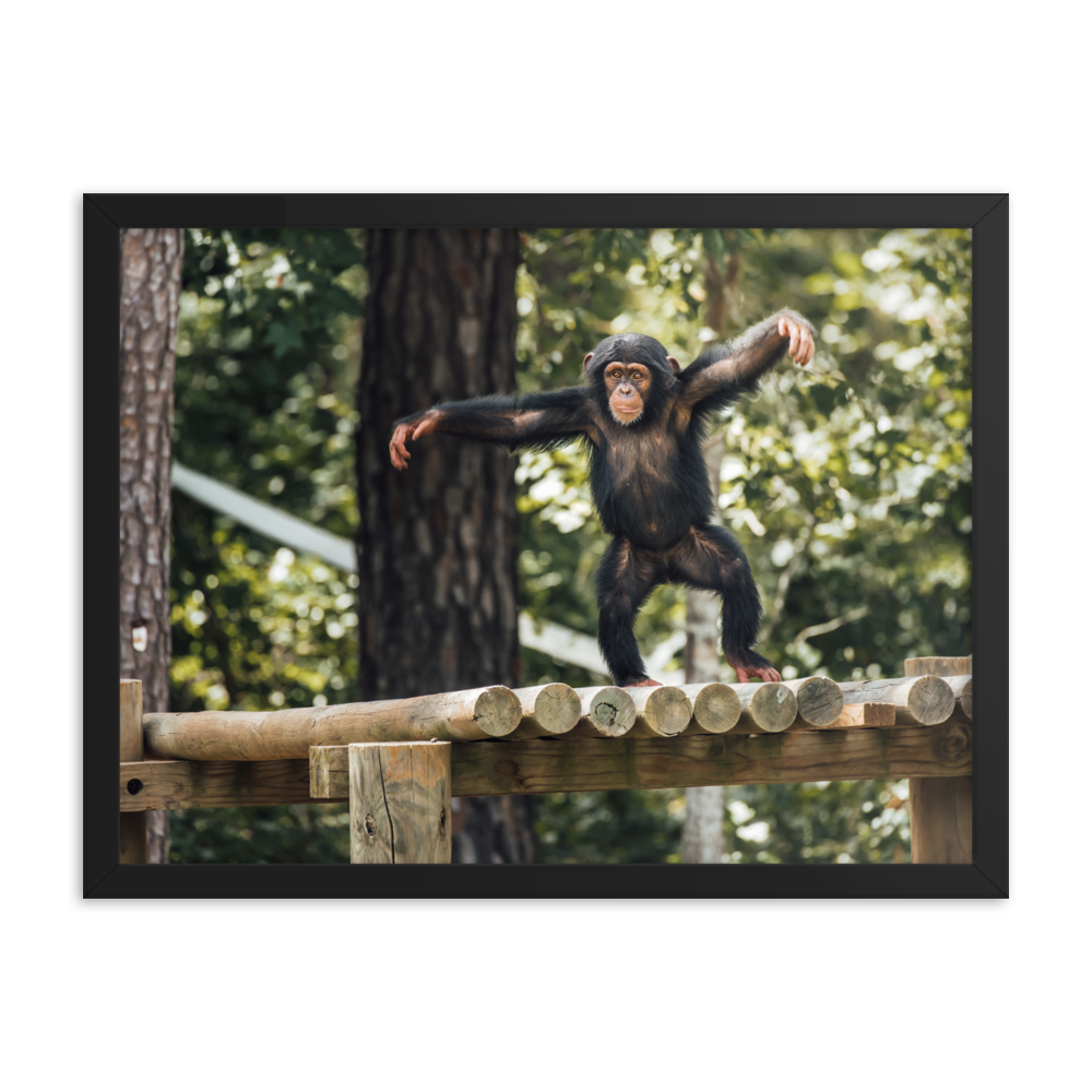 Framed photo paper poster- Carlee