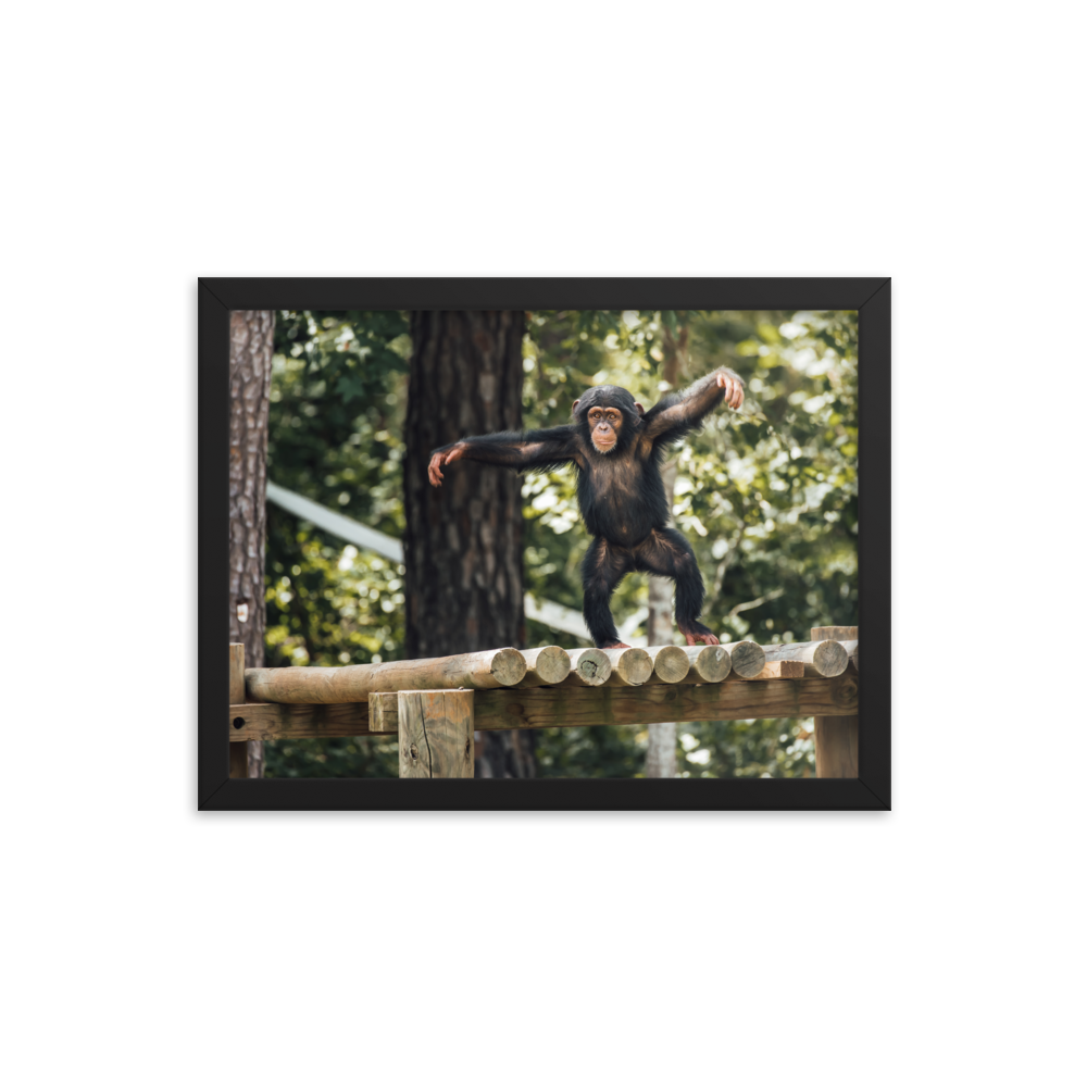 Framed photo paper poster- Carlee