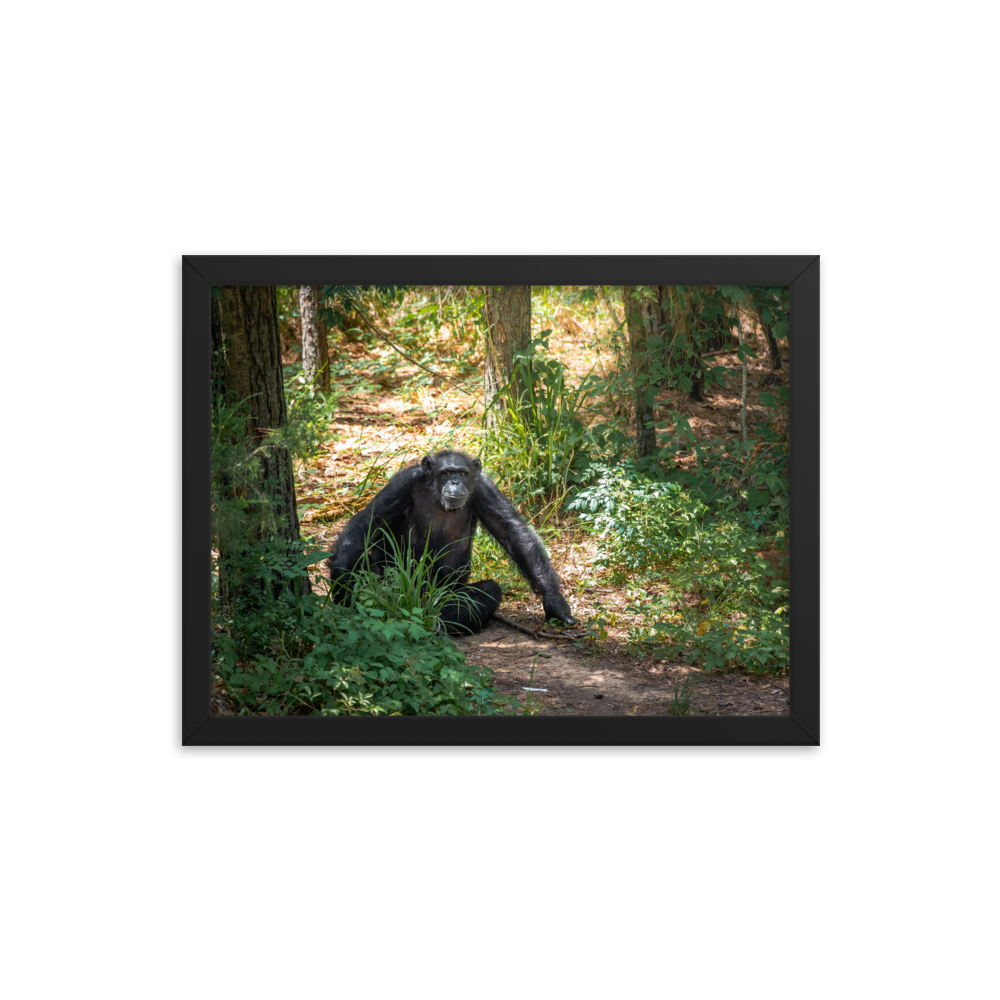 Framed photo paper poster- Margaret
