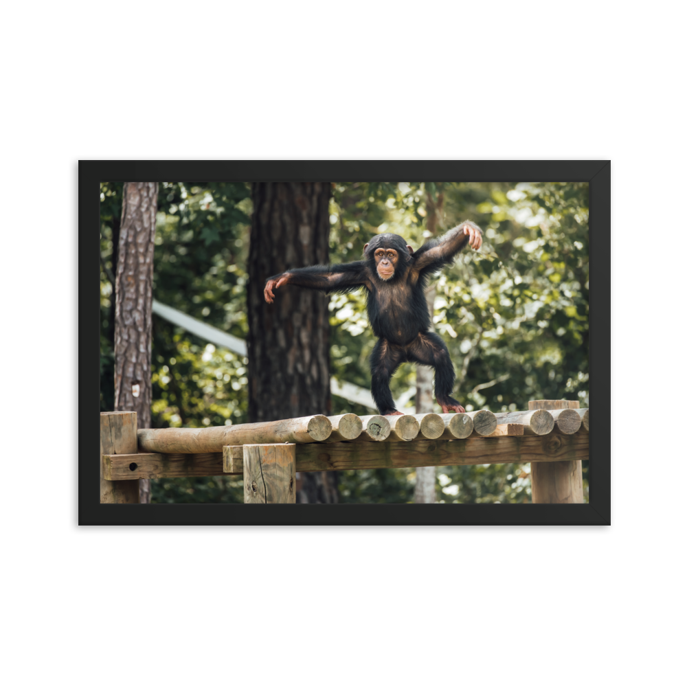 Framed photo paper poster- Carlee