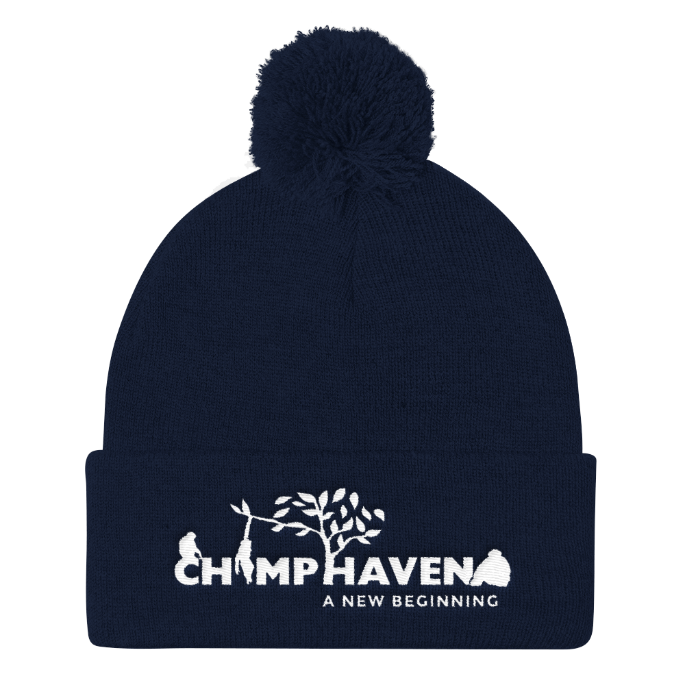 Pom Pom Knit Logo Cap