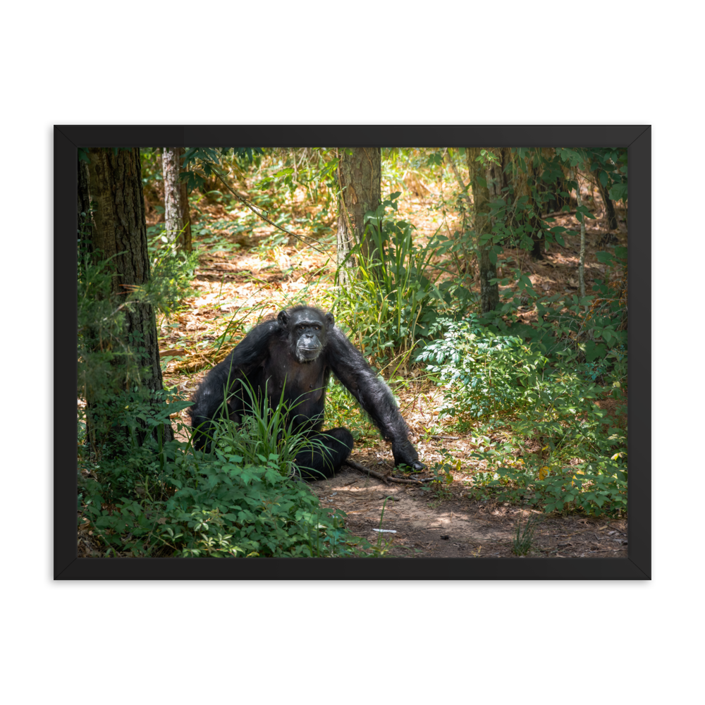 Framed photo paper poster- Margaret
