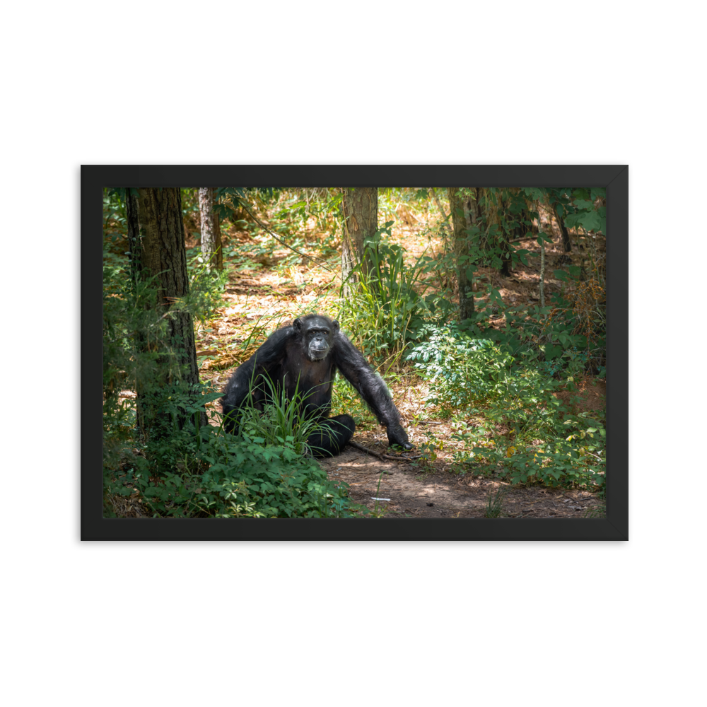 Framed photo paper poster- Margaret