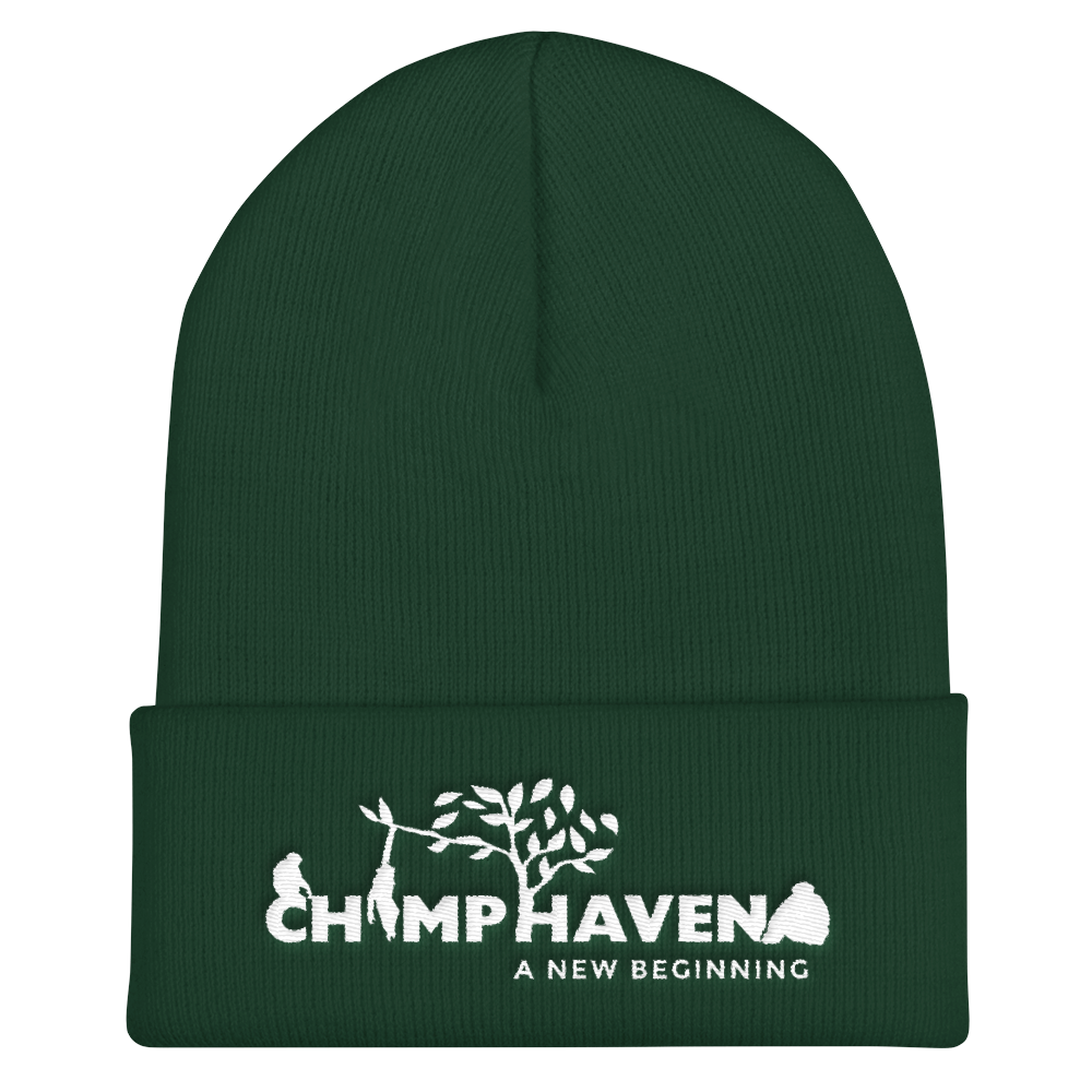 Cuffed Logo Beanie