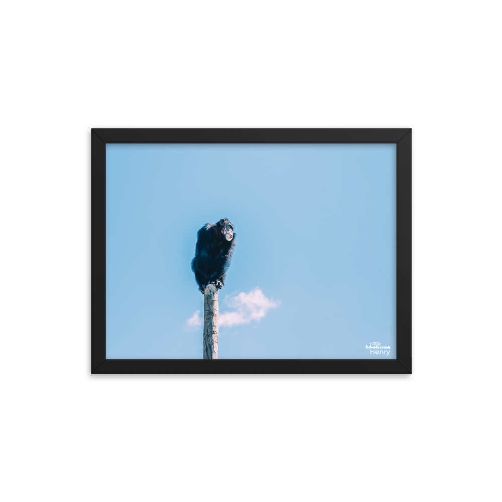 Framed photo paper poster- Henry