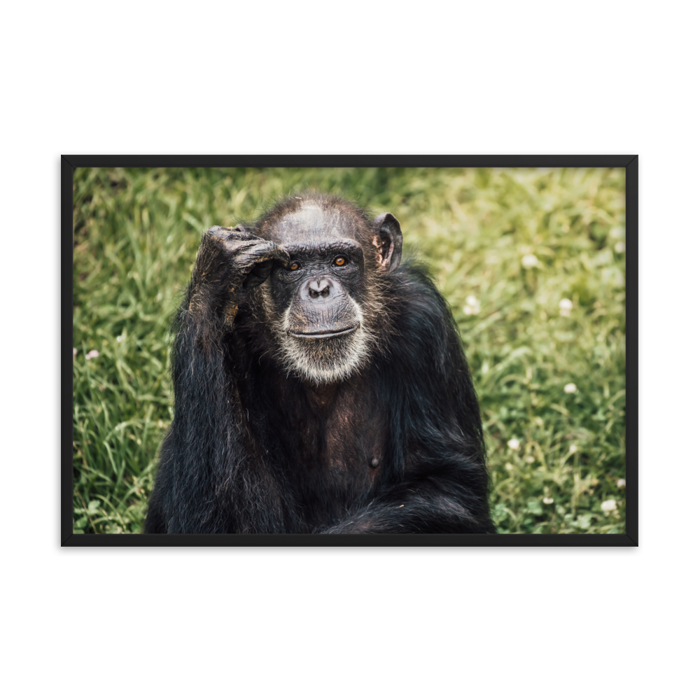Framed photo paper poster- Star Burst