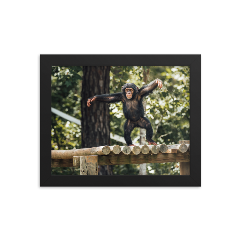 Framed photo paper poster- Carlee