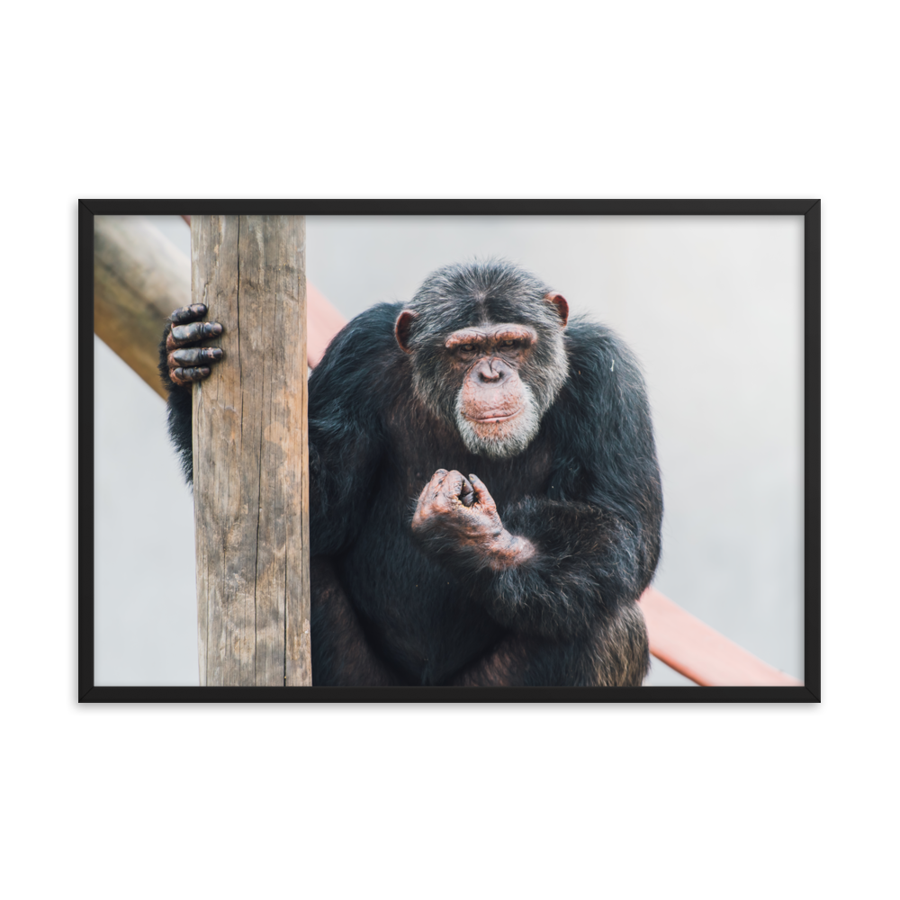 Framed photo paper poster- Jeff Lebowski