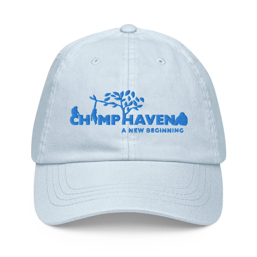 Pastel Logo Baseball Hat