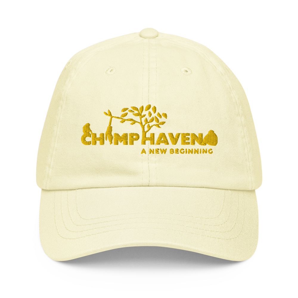 Pastel Logo Baseball Hat
