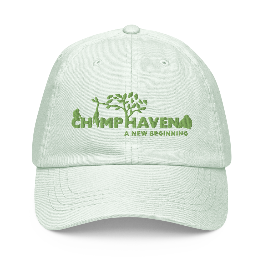 Pastel Logo Baseball Hat